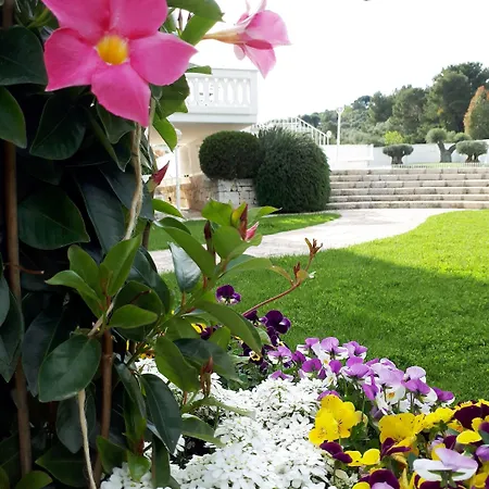 Szálloda Natia Mottola